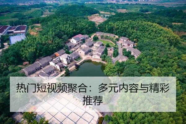 热门短视频聚合：多元内容与精彩推荐